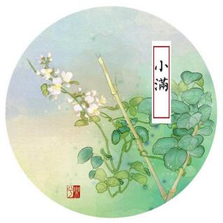 聆听节气——小满