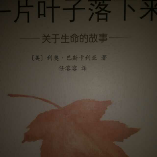 一片叶子落下来