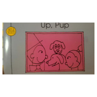 Bob  Books - Up, Pup