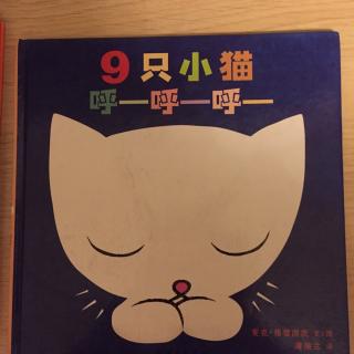 9只小猫呼呼呼