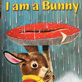 I am a bunny我是一只小兔子