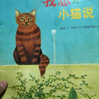 我着对小猫说