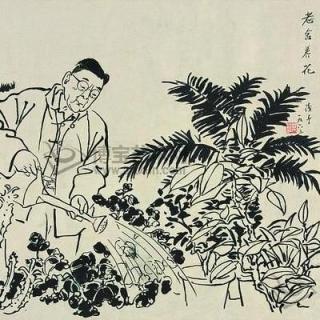 养花 老舍