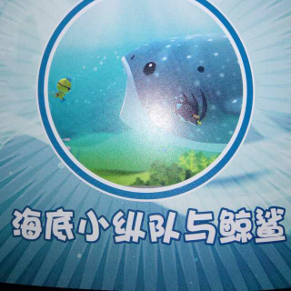 海底小纵队与鲸鲨