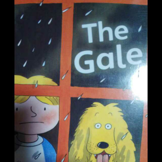 The gale