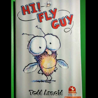 HI！FLY GUY