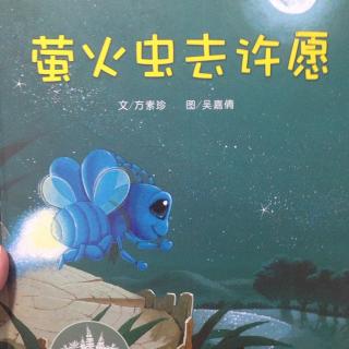 萤火虫去许愿