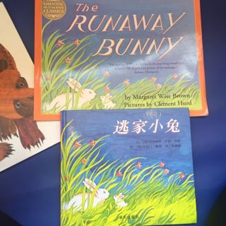 The Little Bunny 《逃家小兔》英文 中英翻译