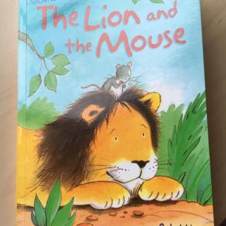 The Lion and the Mouse 20160521