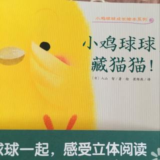 【309期】《小鸡球球成长系列🐥小鸡球球藏猫猫》