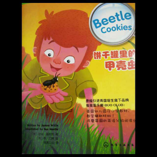 Beetle cookies饼干罐里的甲壳虫