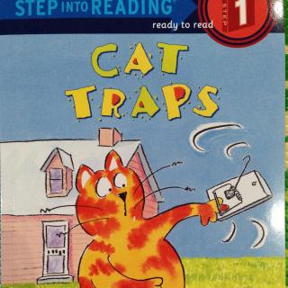 兰登1-cats traps