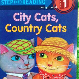 兰登1-City Cats，Country Cats