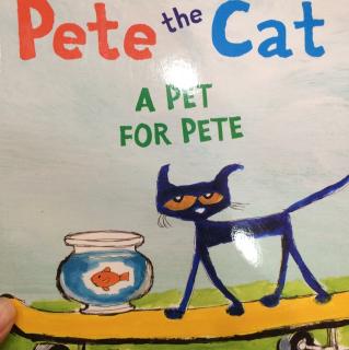 Pete the cat a pet for Pete