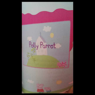 04Polly parrot