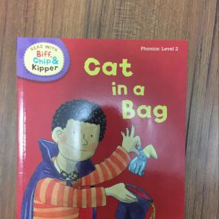 cat in a Bag