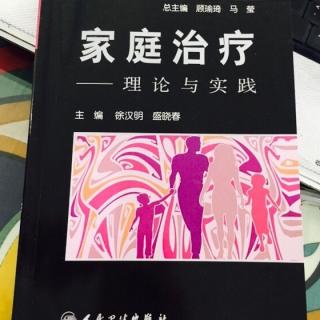 家庭治疗理论与实践第三章家庭的变化与发展-陆鑫