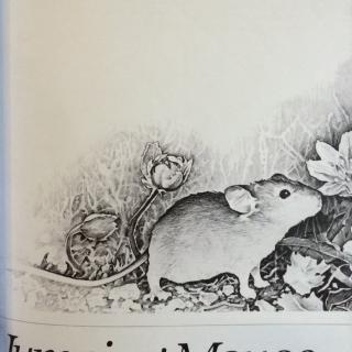 The story of a jumping mouse