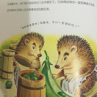 《豌豆荚竞赛》