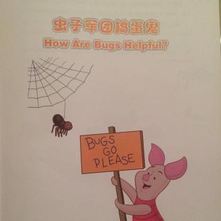 9. How Are Bugs Helpful?