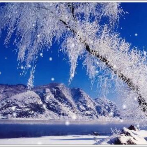 木子情:雪花的快乐