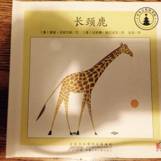 小小自然图书馆系列—长颈鹿