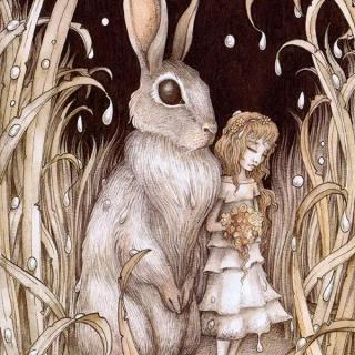 【格林童话】兔子新娘