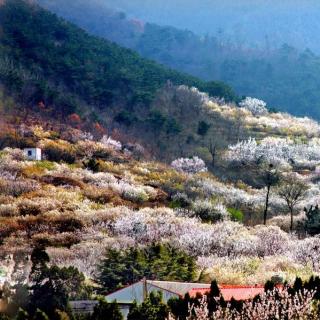 《我的私房书》——宋歌《山居笔记》