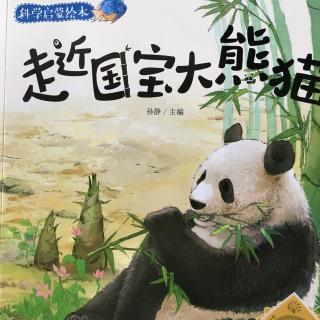 《走进国宝大熊猫》