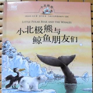 小科阿姨讲“小北极熊与鲸鱼朋友们”