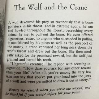 the wolf and the crane狼和鹤