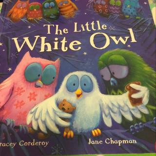 20160523 the little white owl 白色的小猫头鹰（暖房子）