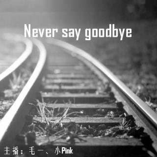 Echo Whisper——Never say goodbye-主播：毛一、小pink