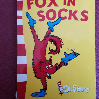 fox in socks