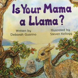 6、Is Your Mama a Llama?