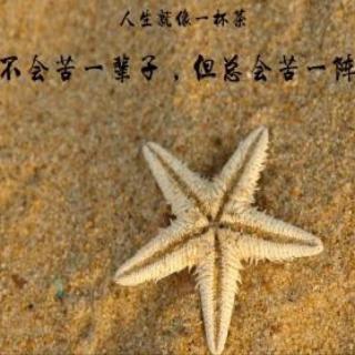 小镜子心语192：哲理篇（2）《保护弱小》