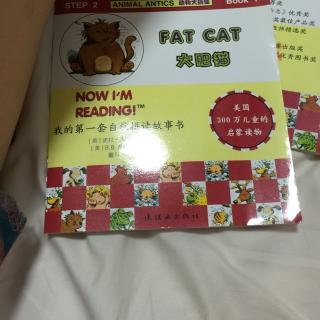 fatcat猫咪