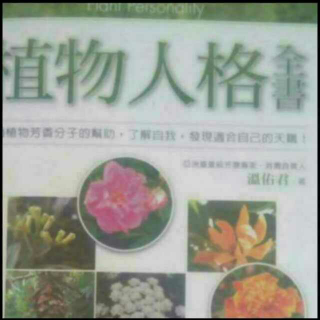 💗 植物人格全书 💗 CT13教主型人格综述