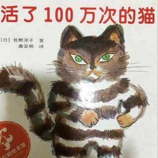 【绘声绘色】绘本故事《活了100万次的猫》