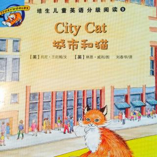 City Cat(城市和猫)