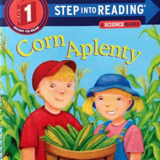 兰登1-corn aplenty-listening test