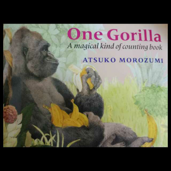 gorilla发音图片