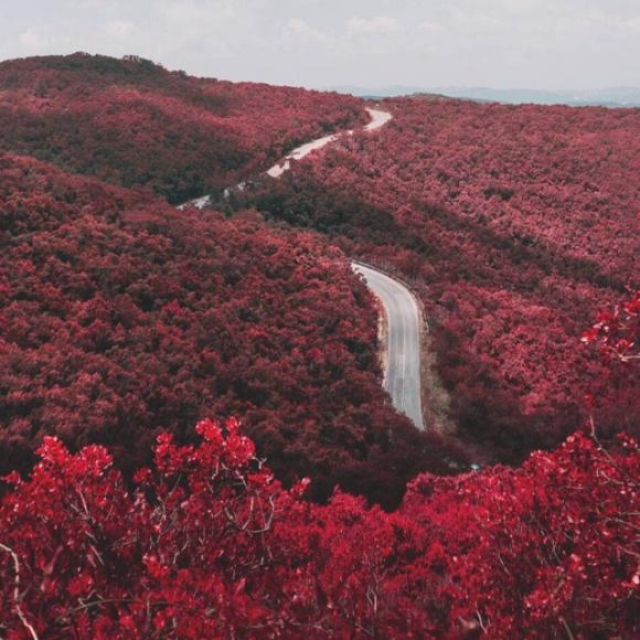 杨朔泰山极顶图片