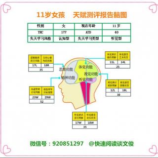 谈文俊天赋测评报告解读《天生我才必有用》