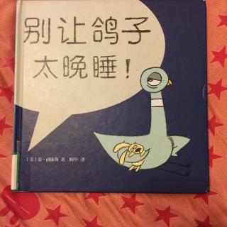 别让鸽子太晚睡