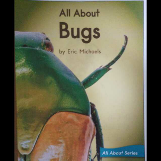 All about bugs