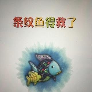 条纹鱼🐠得救了