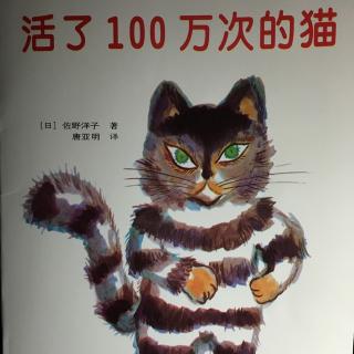 【亲爱的晚安】活了100万次的猫