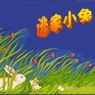 【南方贝贝早期教育】睡前故事|逃家小兔（音频版）