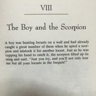 the boy and the scorpion男孩和蝎子